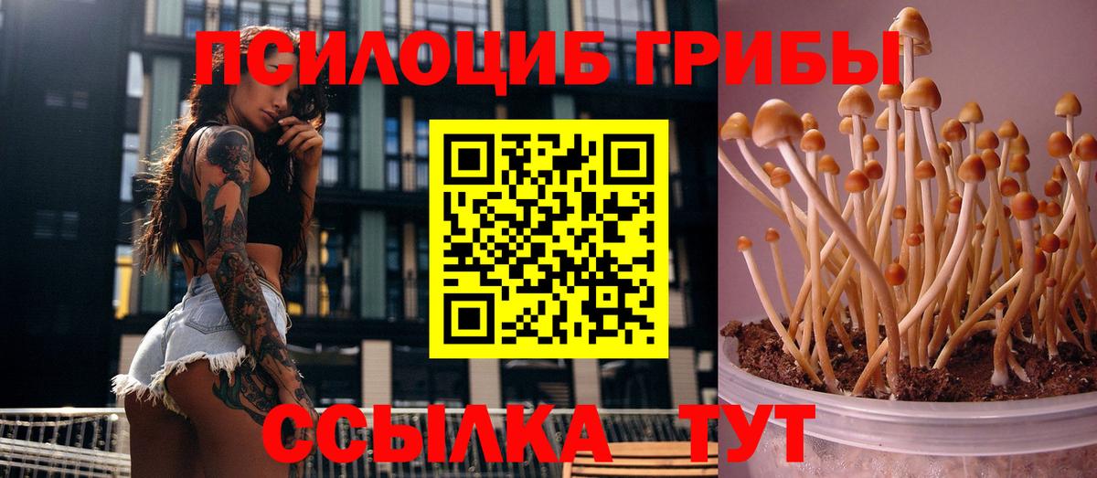 даркнет сайт  Вход с VPN  Канаш  Галлюциногенные грибы Magic Shrooms 